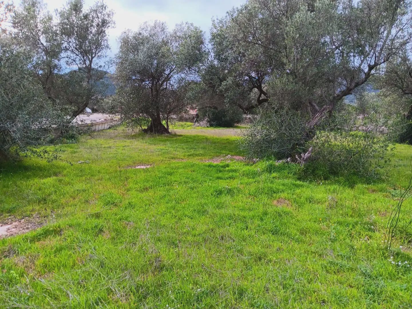 3 slaapkamer Finca/Landhuis te koop in Tortosa met garage - € 94.000 (Ref: 10024492)