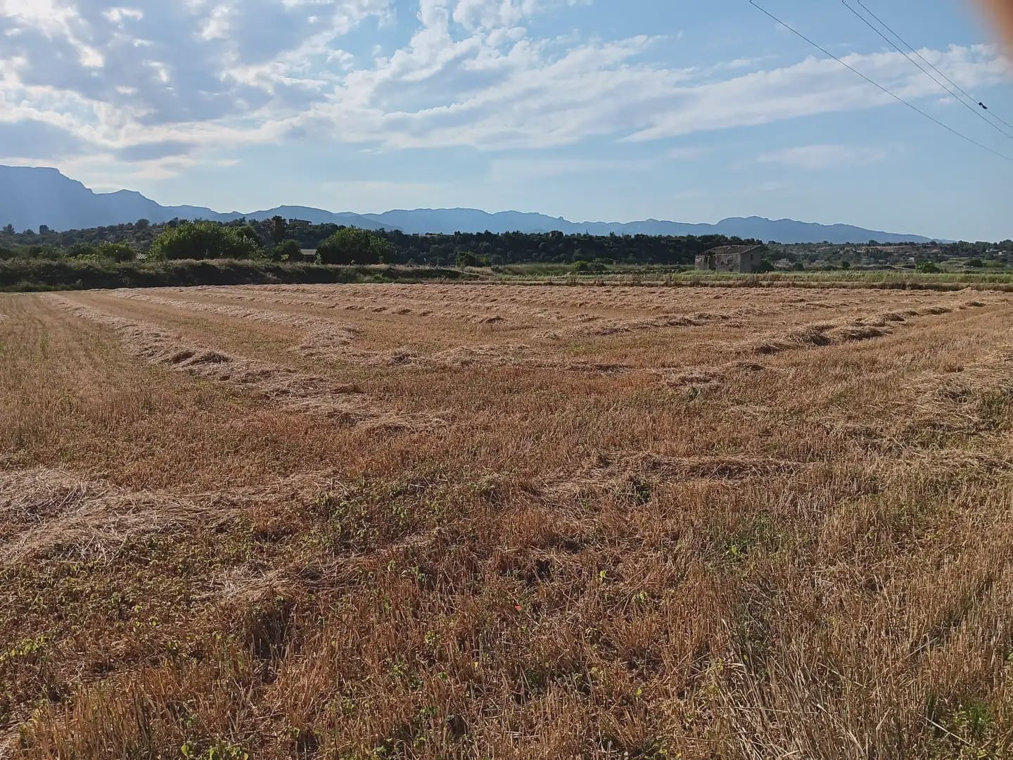Tontti myytävänä paikassa Tortosa - 25 000 € (Ref: 10024493)