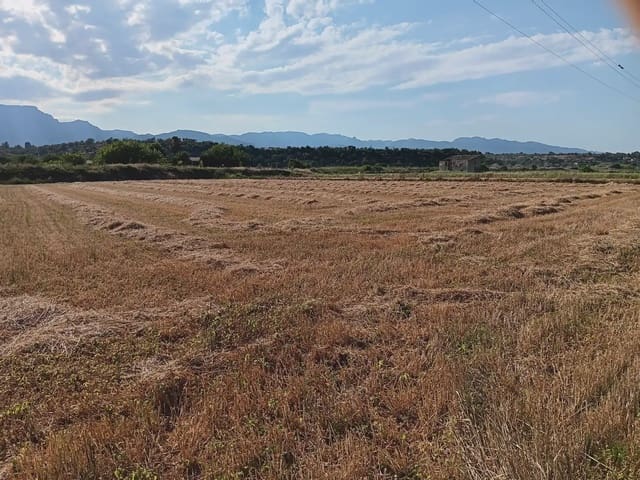 Tomt till salu i Tortosa - 25 000 € (Ref: 10024493)
