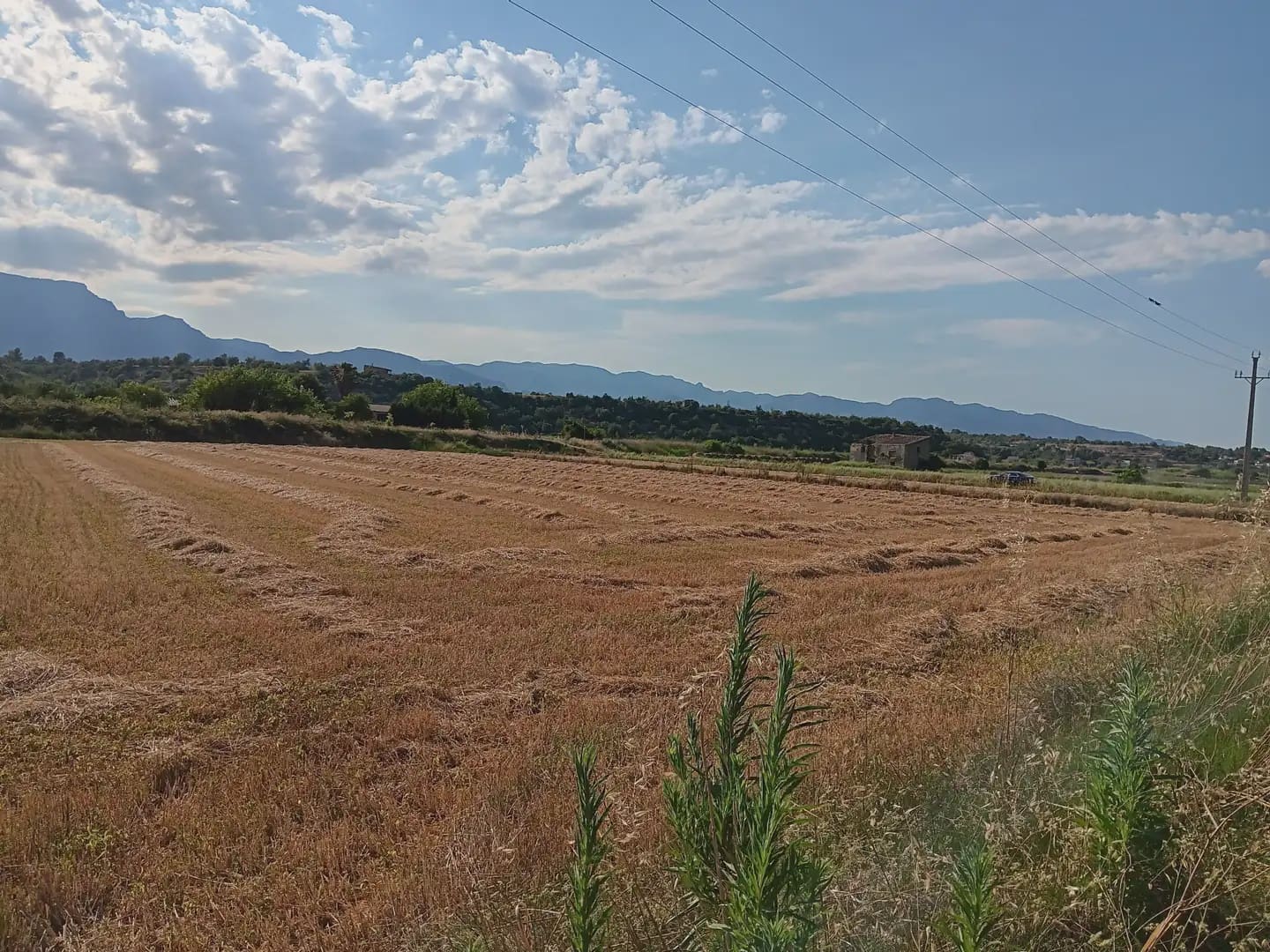 Tontti myytävänä paikassa Tortosa - 25 000 € (Ref: 10024493)
