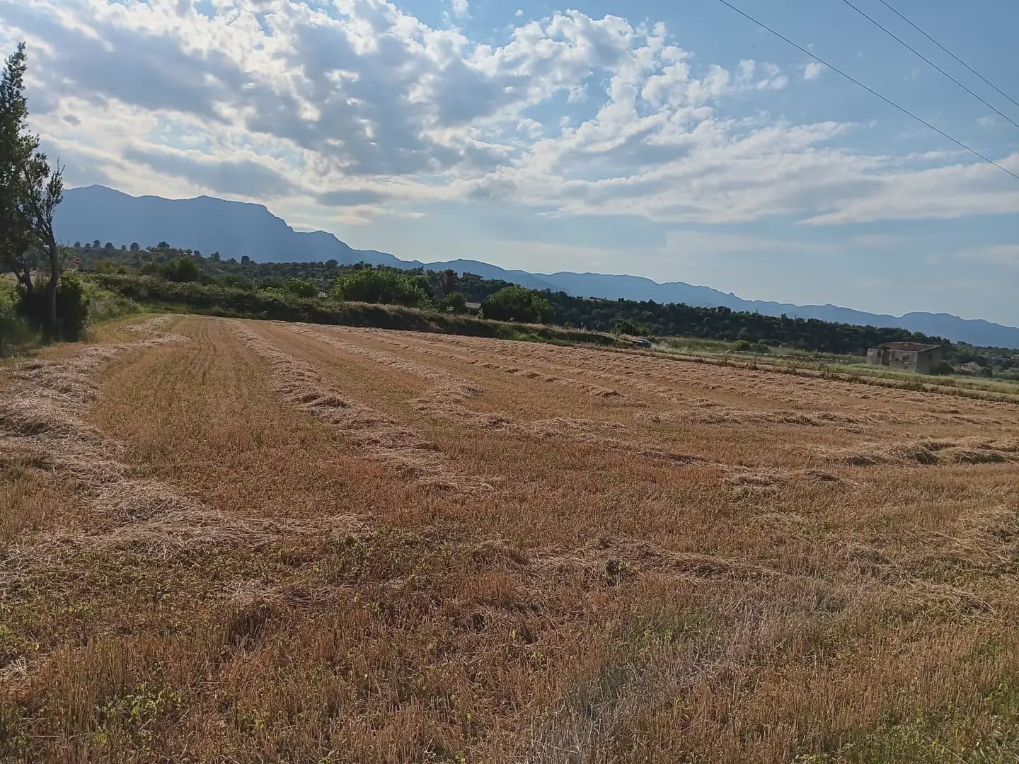Tontti myytävänä paikassa Tortosa - 25 000 € (Ref: 10024493)