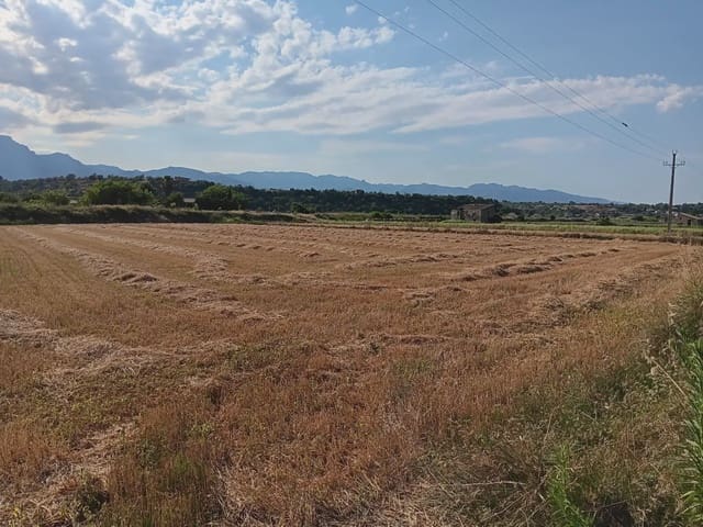 Tomt till salu i Tortosa - 25 000 € (Ref: 10024493)