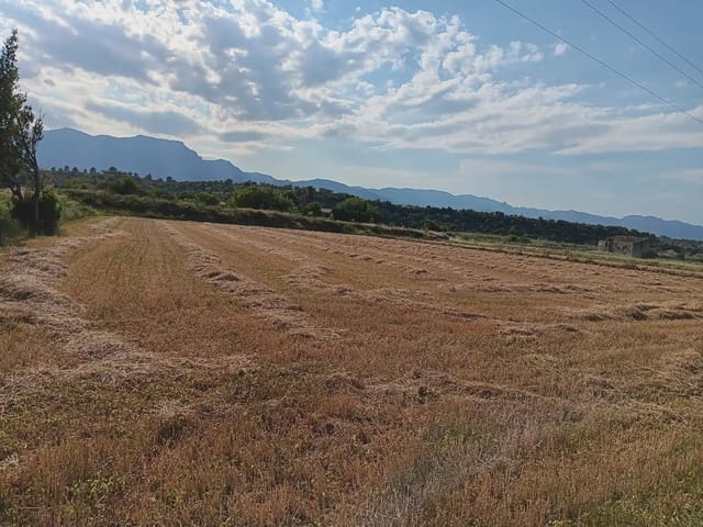 Tomt till salu i Tortosa - 25 000 € (Ref: 10024493)