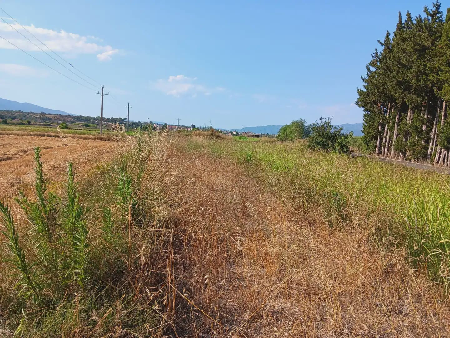 Tontti myytävänä paikassa Tortosa - 25 000 € (Ref: 10024493)