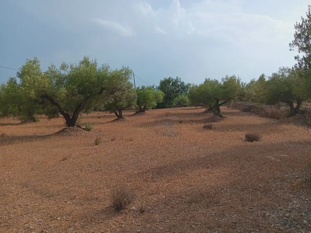 Area Edificabile in vendita in L'Ampolla - 115.000 € (Rif: 10024495)