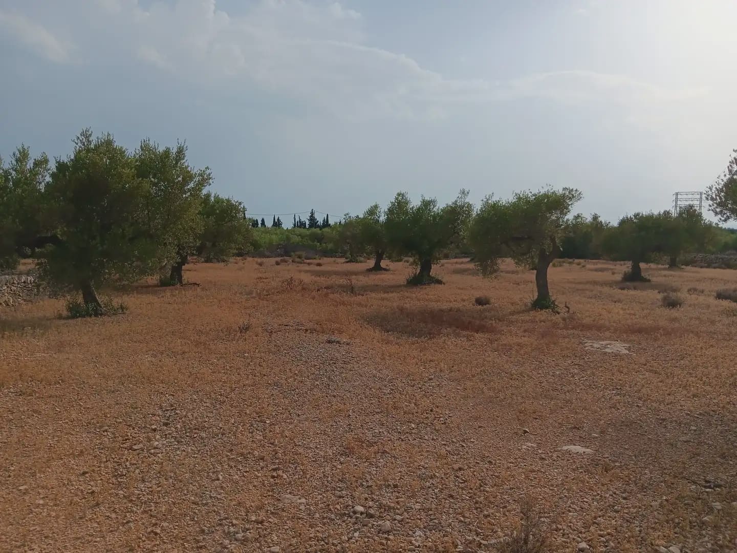 Solar/Parcela en L'Ampolla en venta - 115.000 € (Ref: 10024495)