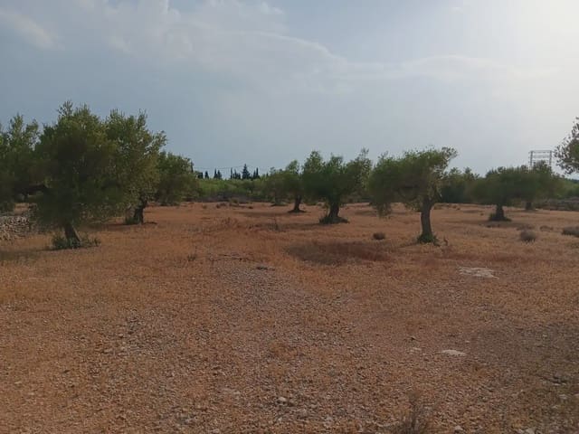 Area Edificabile in vendita in L'Ampolla - 115.000 € (Rif: 10024495)