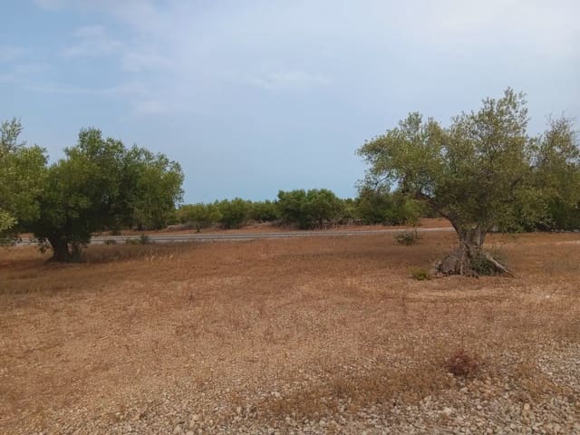 Area Edificabile in vendita in L'Ampolla - 115.000 € (Rif: 10024495)