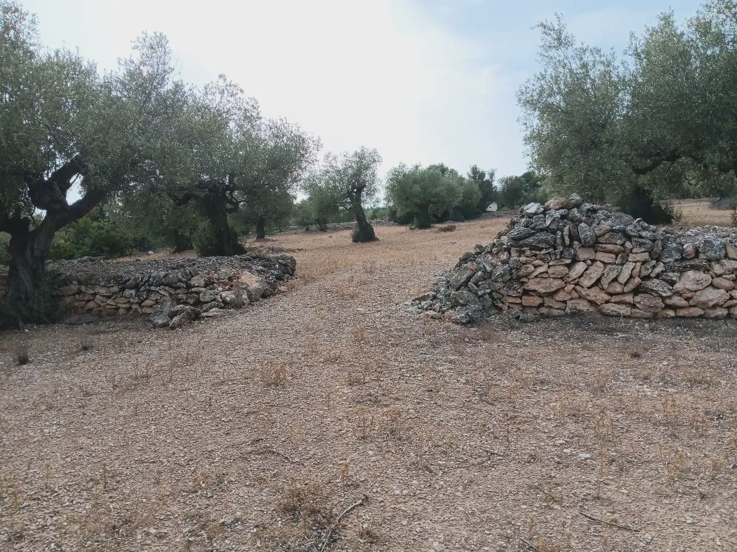 Solar/Parcela en L'Ampolla en venta - 115.000 € (Ref: 10024495)