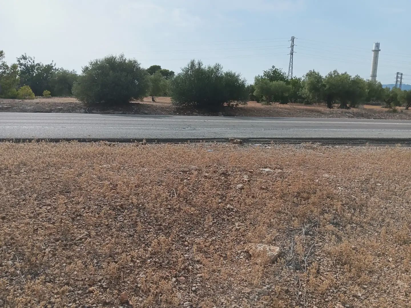 Solar/Parcela en L'Ampolla en venta - 115.000 € (Ref: 10024495)