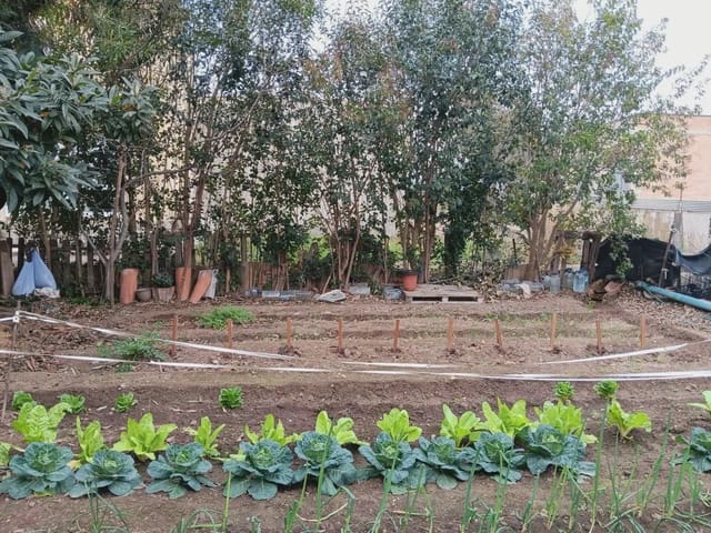 3 Zimmer Finca/Landgut zu verkaufen in Els Reguers, Tortosa mit Garage - 190.000 € (Ref: 10024496)