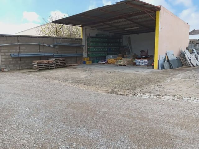 Kommersiell till salu i Roquetes - 370 000 € (Ref: 10024498)
