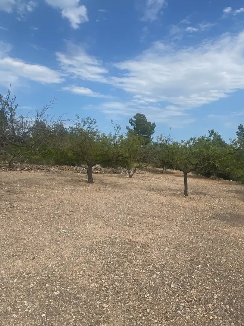 Bouwgrond te koop in Tortosa - € 15.000 (Ref: 10024500)