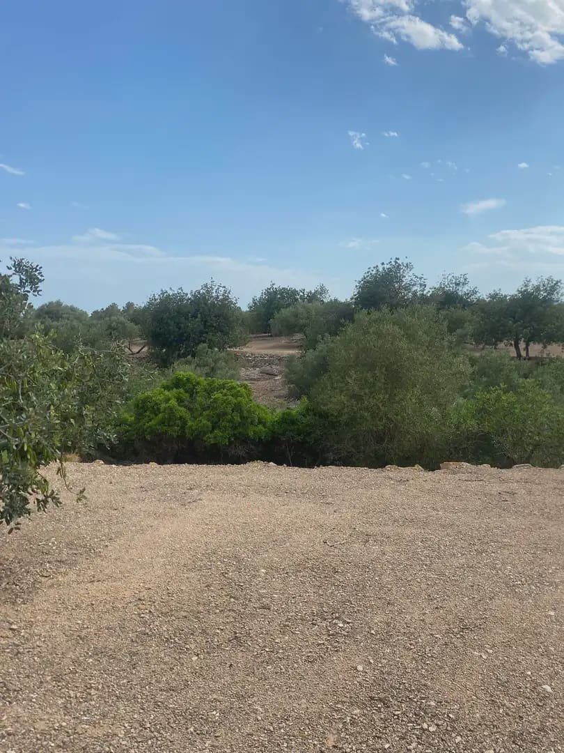 Bouwgrond te koop in Tortosa - € 15.000 (Ref: 10024500)