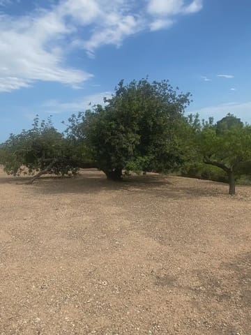 Tomt till salu i Tortosa - 15 000 € (Ref: 10024500)