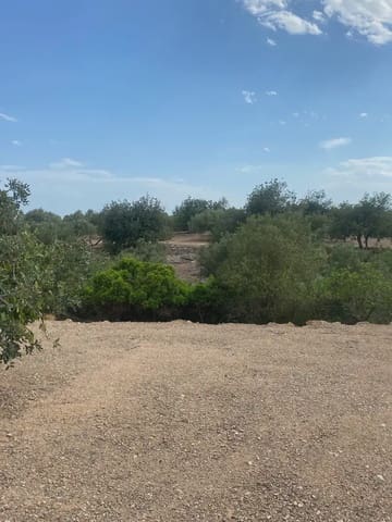 Tomt till salu i Tortosa - 15 000 € (Ref: 10024500)