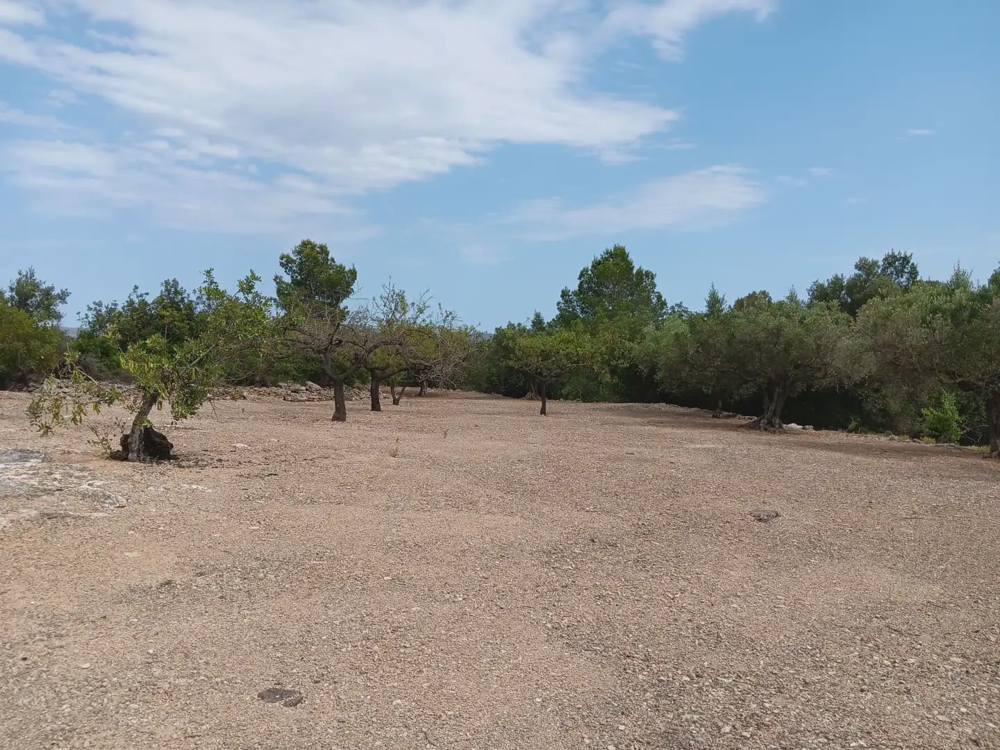 Bouwgrond te koop in Tortosa - € 15.000 (Ref: 10024500)