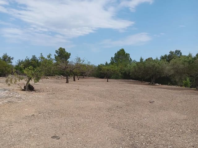 Tomt till salu i Tortosa - 15 000 € (Ref: 10024500)