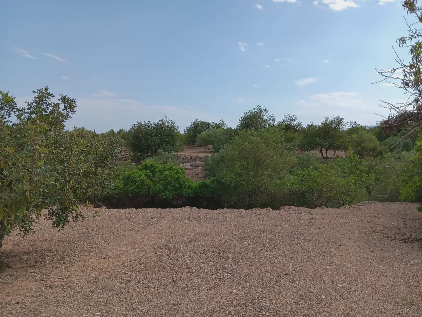 Bouwgrond te koop in Tortosa - € 15.000 (Ref: 10024500)
