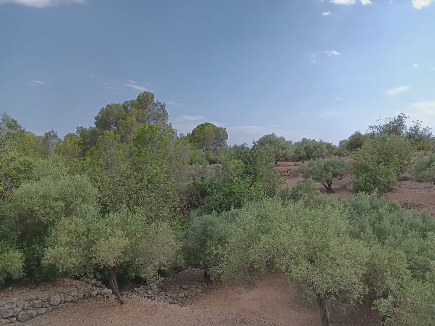Bouwgrond te koop in Tortosa - € 15.000 (Ref: 10024500)