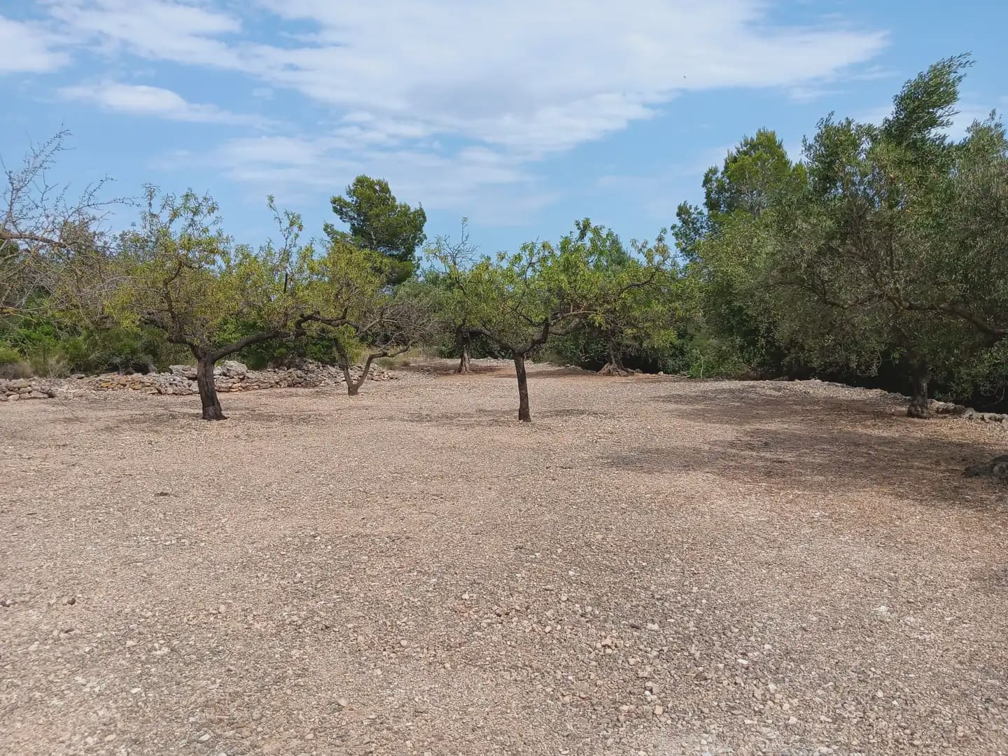 Bouwgrond te koop in Tortosa - € 15.000 (Ref: 10024500)