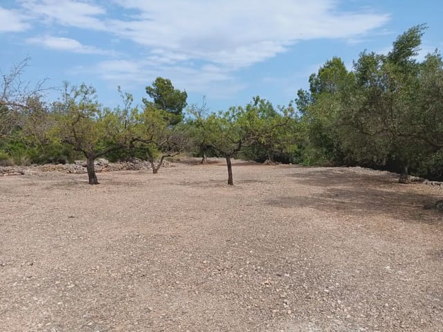 Tomt till salu i Tortosa - 15 000 € (Ref: 10024500)