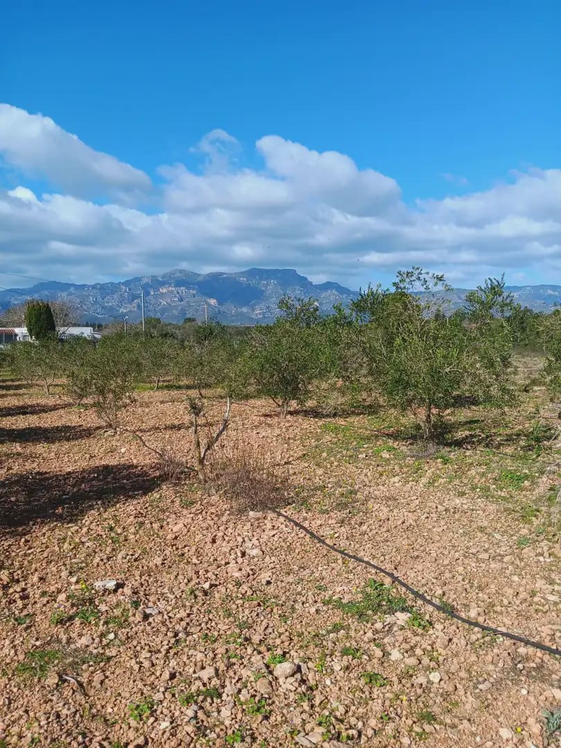 3 sovrum Finca/Hus på landet till salu i Tortosa med garage - 205 000 € (Ref: 10024501)