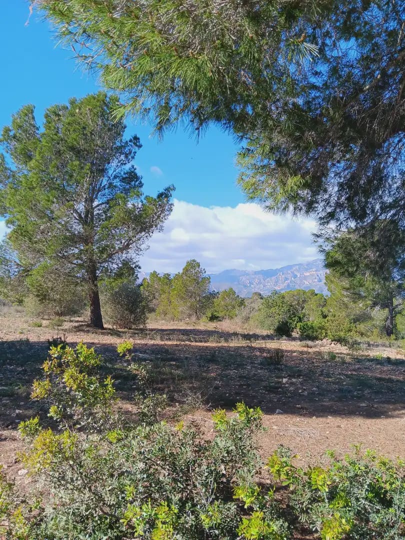 3 sovrum Finca/Hus på landet till salu i Tortosa med garage - 205 000 € (Ref: 10024501)