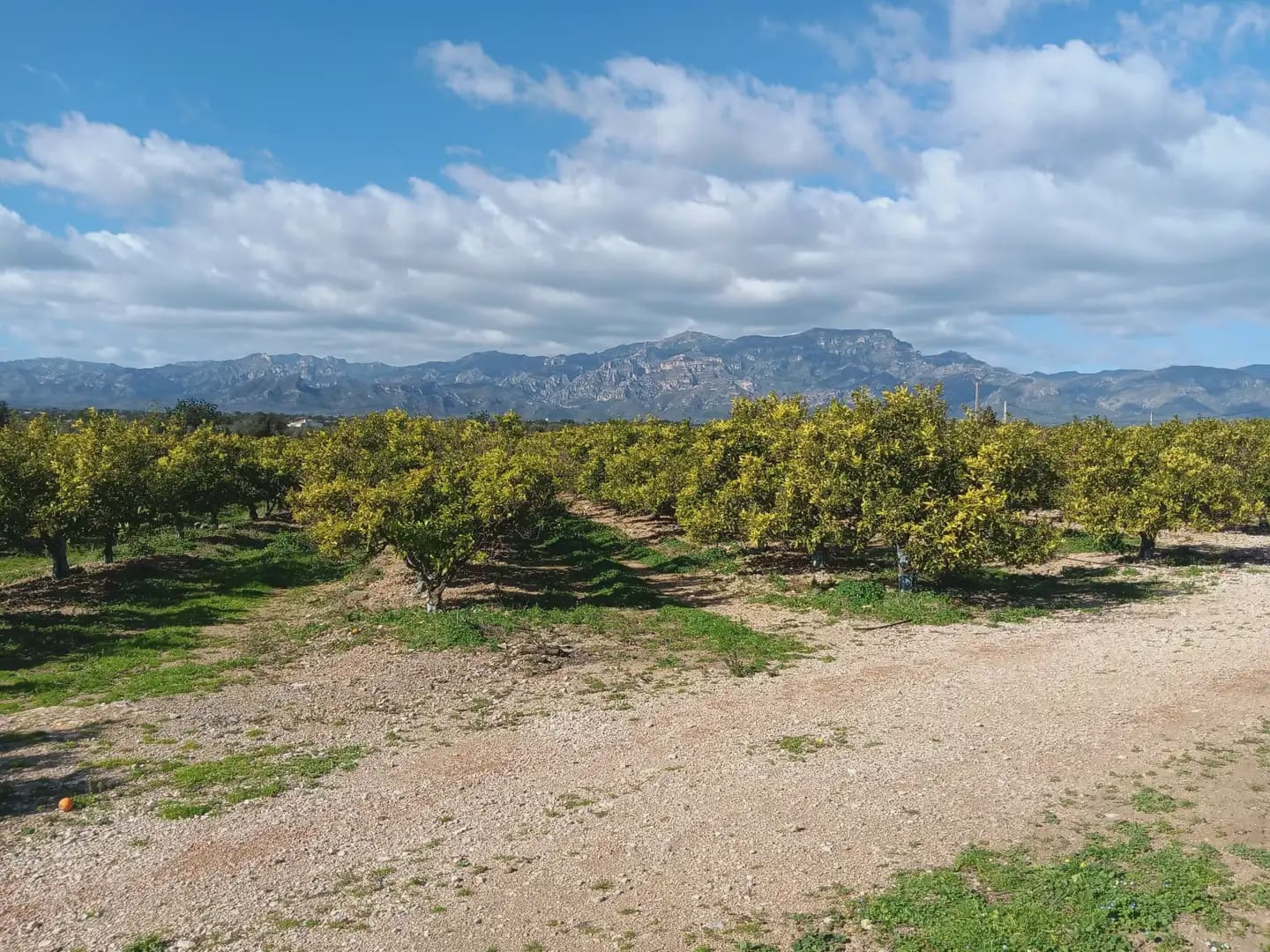 3 sovrum Finca/Hus på landet till salu i Tortosa med garage - 205 000 € (Ref: 10024501)