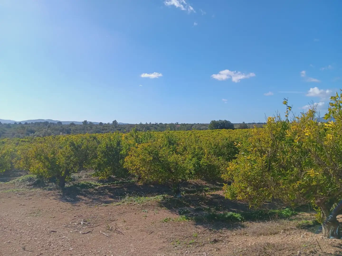 3 sovrum Finca/Hus på landet till salu i Tortosa med garage - 205 000 € (Ref: 10024501)