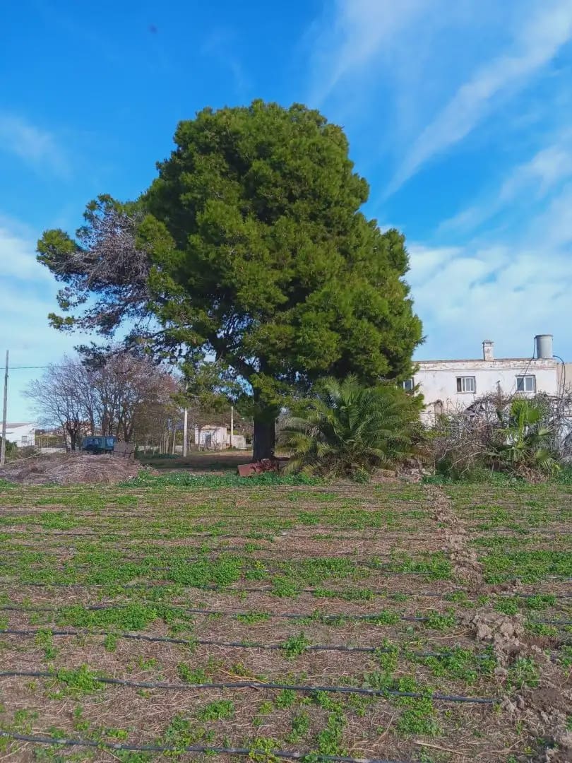 3 bedroom Finca/Country House for sale in Roquetes with garage - € 250,000 (Ref: 10024502)