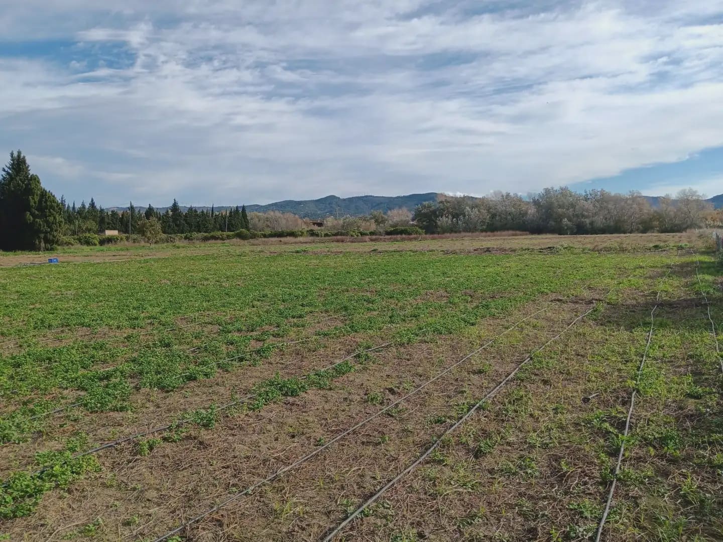 3 bedroom Finca/Country House for sale in Roquetes with garage - € 250,000 (Ref: 10024502)