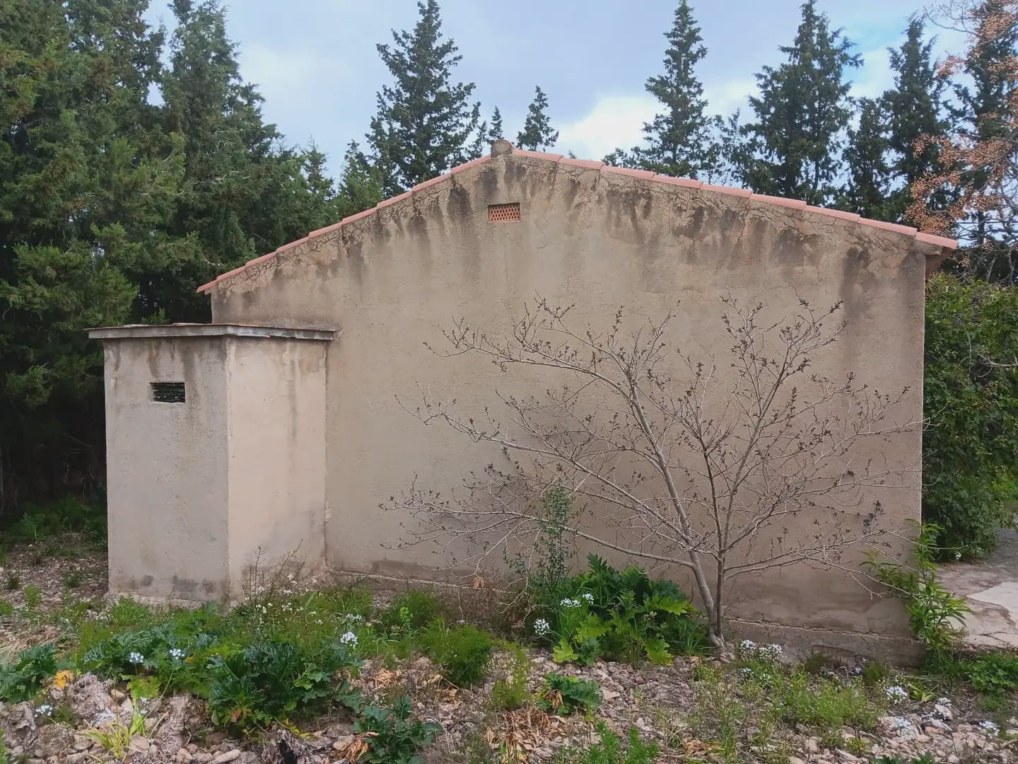 Building Plot for sale in Tortosa - € 60,000 (Ref: 10024506)