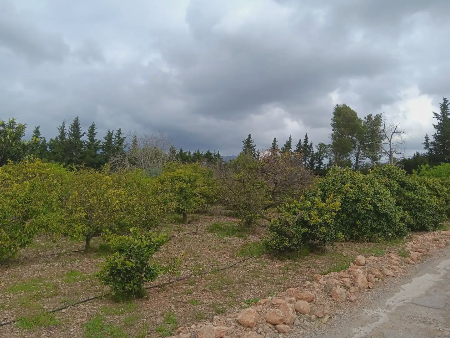 Building Plot for sale in Tortosa - € 60,000 (Ref: 10024506)