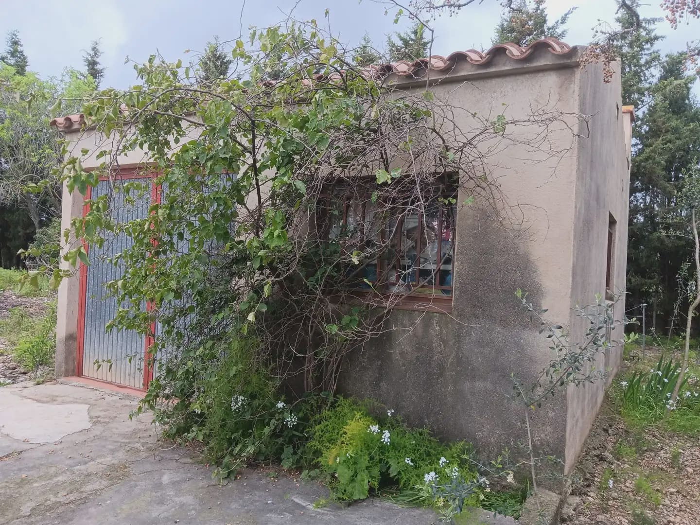 Building Plot for sale in Tortosa - € 60,000 (Ref: 10024506)