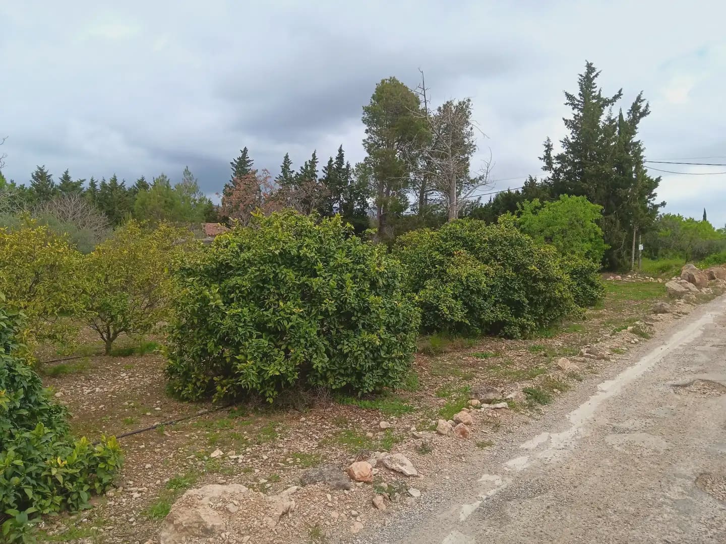Building Plot for sale in Tortosa - € 60,000 (Ref: 10024506)