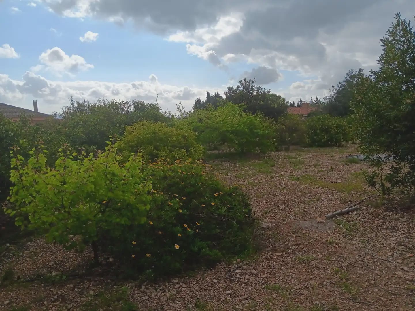 Building Plot for sale in Tortosa - € 60,000 (Ref: 10024506)