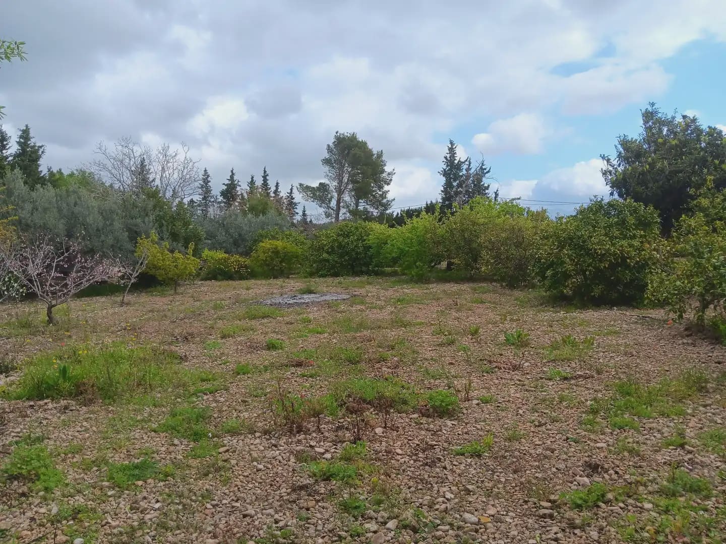 Building Plot for sale in Tortosa - € 60,000 (Ref: 10024506)