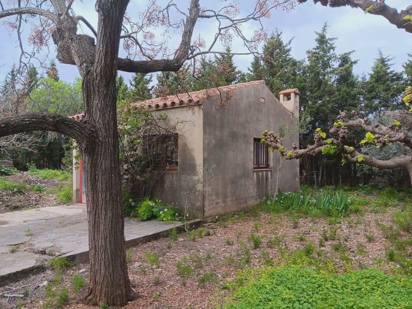Building Plot for sale in Tortosa - € 60,000 (Ref: 10024506)
