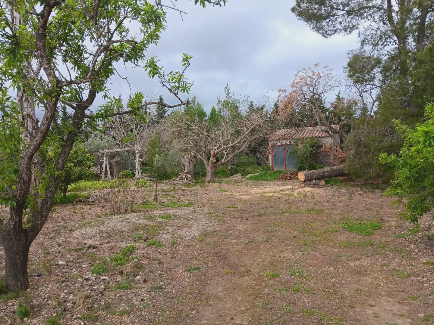 Building Plot for sale in Tortosa - € 60,000 (Ref: 10024506)