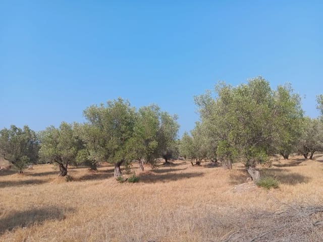 Tomt till salu i Tortosa - 80 000 € (Ref: 10024508)
