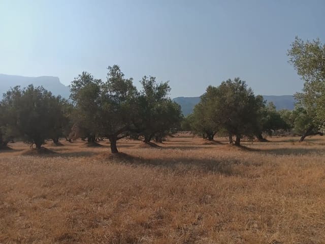 Tomt till salu i Tortosa - 80 000 € (Ref: 10024508)