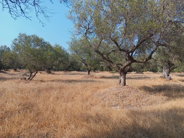 Tomt till salu i Tortosa - 80 000 € (Ref: 10024508)