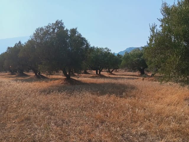 Tomt till salu i Tortosa - 80 000 € (Ref: 10024508)