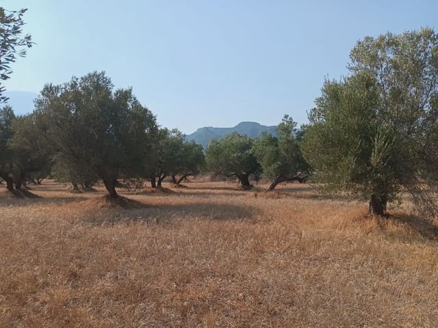 Tomt till salu i Tortosa - 80 000 € (Ref: 10024508)