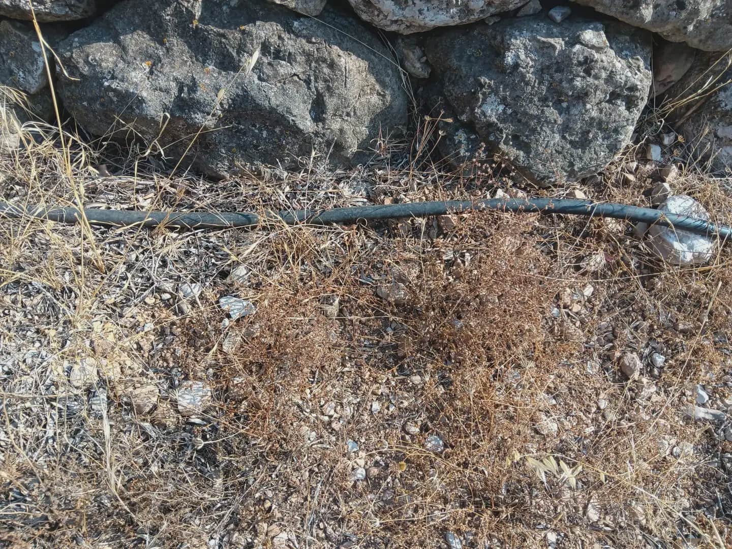 Terreno para Construção para venda em Tortosa - 80 000 € (Ref: 10024508)