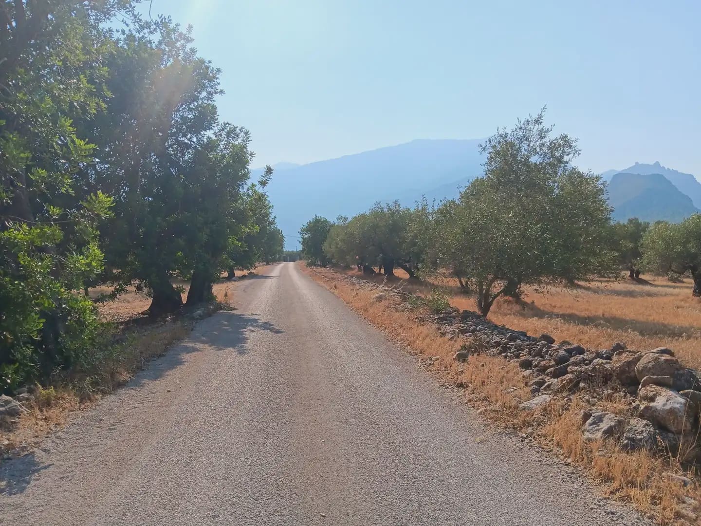 Terreno para Construção para venda em Tortosa - 80 000 € (Ref: 10024508)