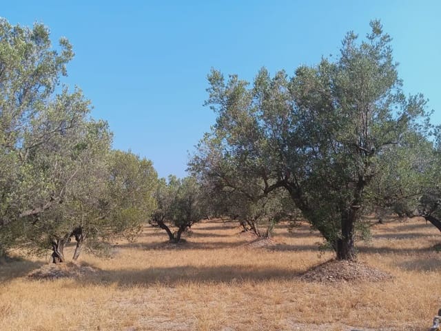 Tomt till salu i Tortosa - 80 000 € (Ref: 10024508)