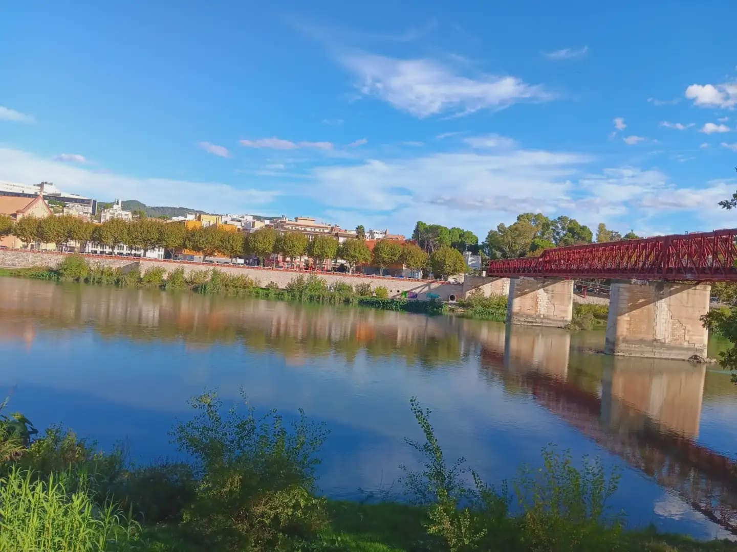 Local Commercial à vendre à Tortosa - 37 842 € (Ref: 10024510)
