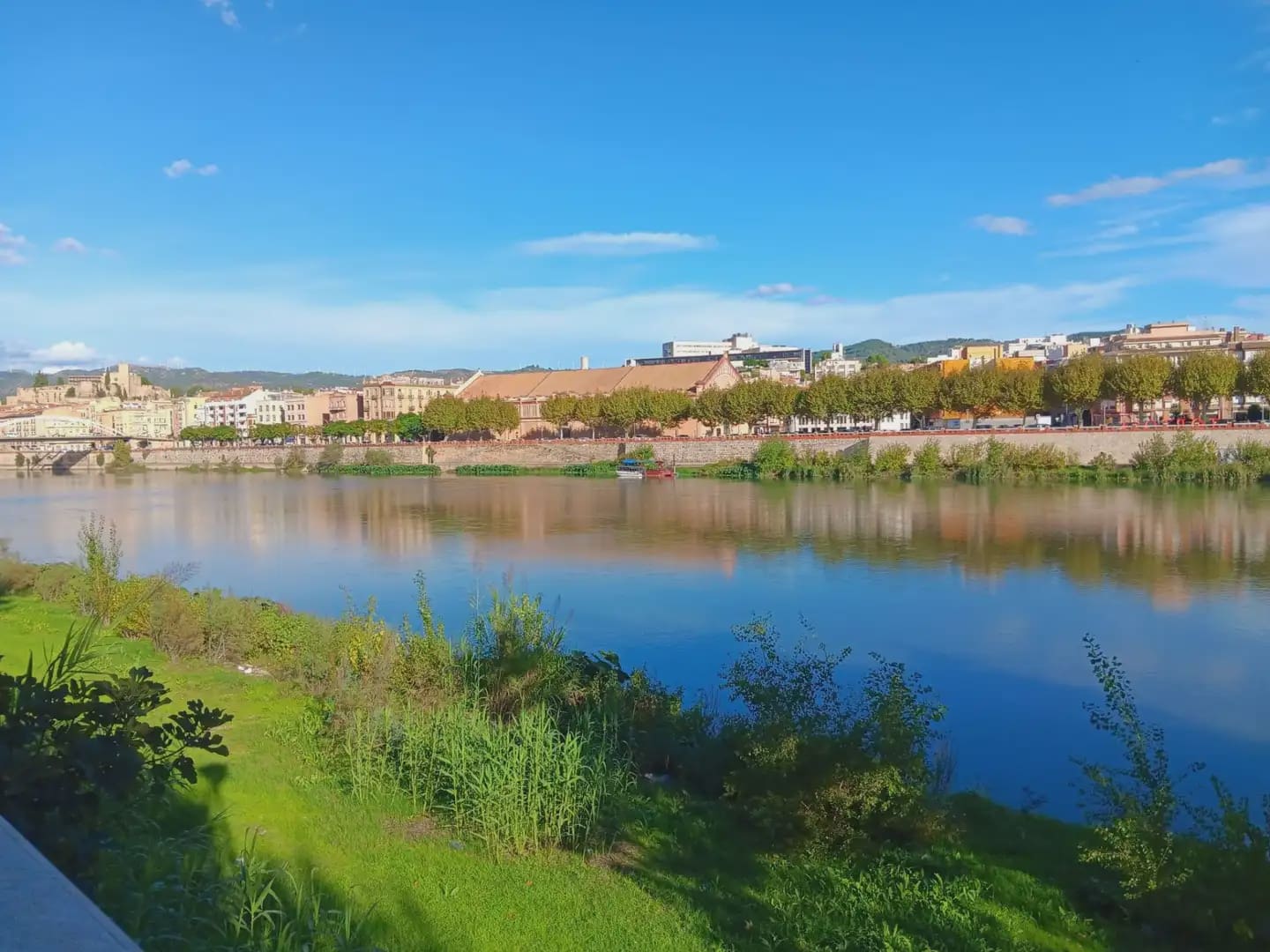 Local Commercial à vendre à Tortosa - 37 842 € (Ref: 10024510)